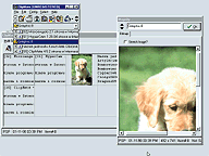 ClipMate 4.5.2