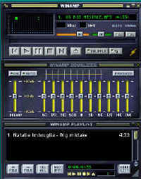 winamp.jpg (21083 bytes)