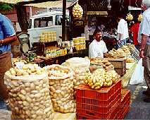 Sacks of Potatoes. Copyright Shiela Thomson. All rights reserved.