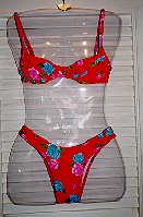 Red bikini.  Copyright Sheila Thomson.  All rights reserved.