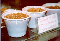 Cocada with Condensed Milk.  Copyright Sheila Thomson.  All rights reserved.