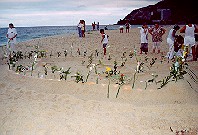 Offerings. Copyright Sheila Thomson,. All rights reserved.