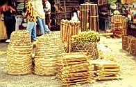 Sieves and Baskets. Copyright by Sheila Thomson. All rights reserved.