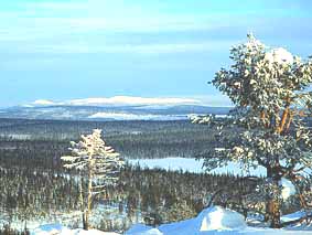 A wiew from Sallatunturi fell