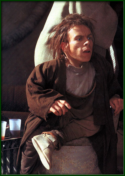 Warwick Davis jako Wald