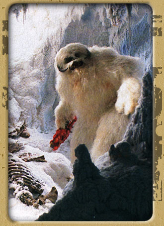 Wampa