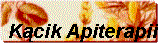 K▒cik Apiterapii