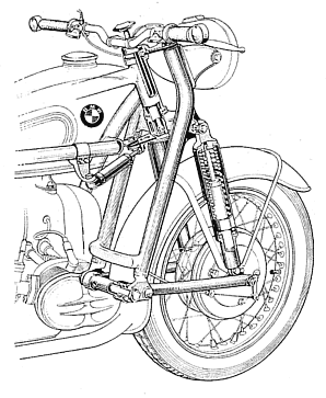 anatomia widelca Earlsa