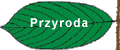 Przyroda