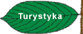 Turystyka