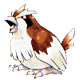 Pidgey