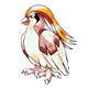 Pidgeot