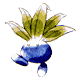 Oddish