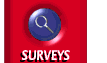 Surveys submenu