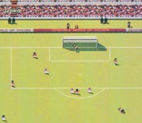 The Sensible Soccer Pitch