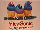 ViewSonic