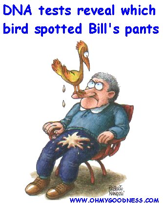 bill-birdpants.jpg (30401 byte)