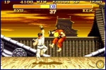 Street Fighter II