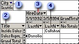 Employees table in PivotTable view