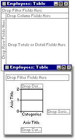 Initial PivotTable and PivotChart views