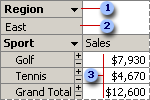 Filter field in PivotTable view