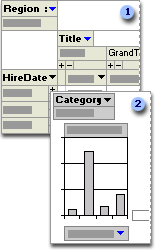 Forms in PivotTable view and PivotChart view