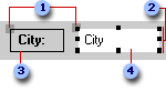 Selected control with an attached label in form or report