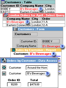 A form, report, query, and data access page displaying data from the same table