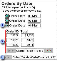 Grouped data access page with expand buttons and record navigation toolbars