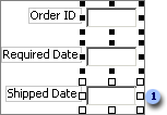 Primary selection with white sizing handles