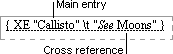 XE (Index Entry) field