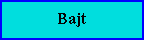 Bajt