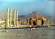 Palmyra