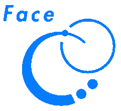 Face Foundation