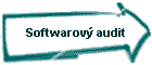 Softwarov² audit