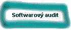 Softwarov² audit