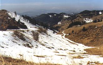  Krajina v okolφ startoviÜt∞ Monte Colombera ve v²Üce 1400m n.m. 