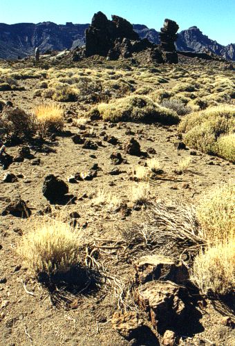  Na ·zemφ Parque Nacional del Teide 