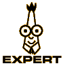 Expert