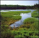 Foulweather marsh