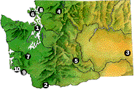 Washington with numbers