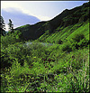 Yakima River Canyon Preserve