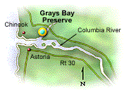 Grays Bay