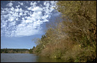 Gray's Bay Swamp