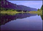 The Columbia River Gorge