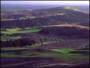 Farmland across Smoot Hill