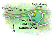 Skagit River