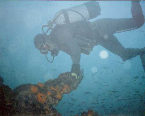 buceando en las Islas Medes