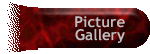 Picture Gallery