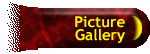 Picture Gallery